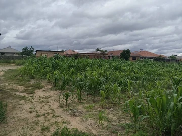 Stands & Residential Land