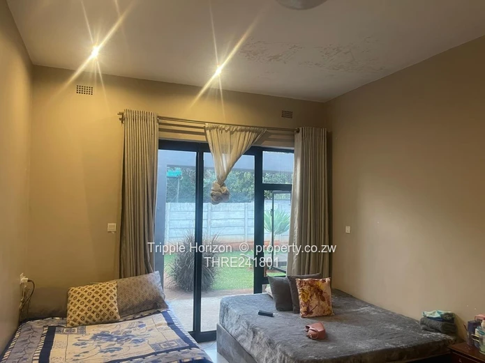 Borrowdale- Sam Levy (Sole Mandate)