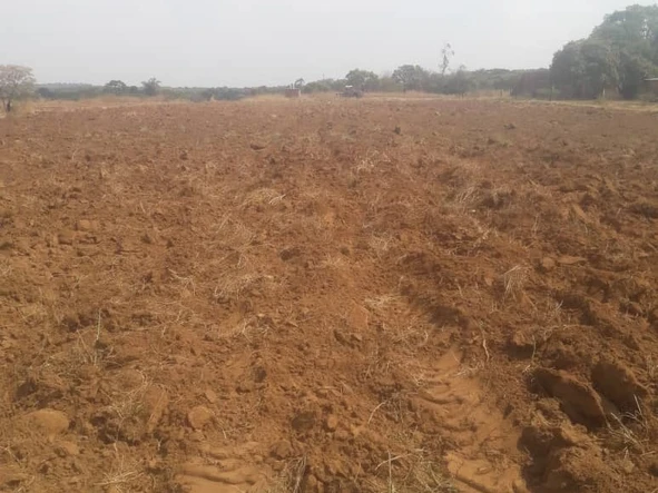 Farm & Agricultural Land