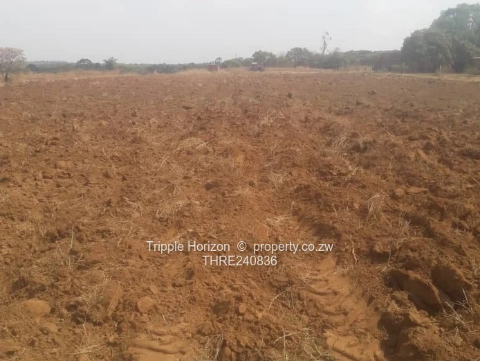 70ha Marondera Farm - Arable Fields, Brick Outbuildings & Shed