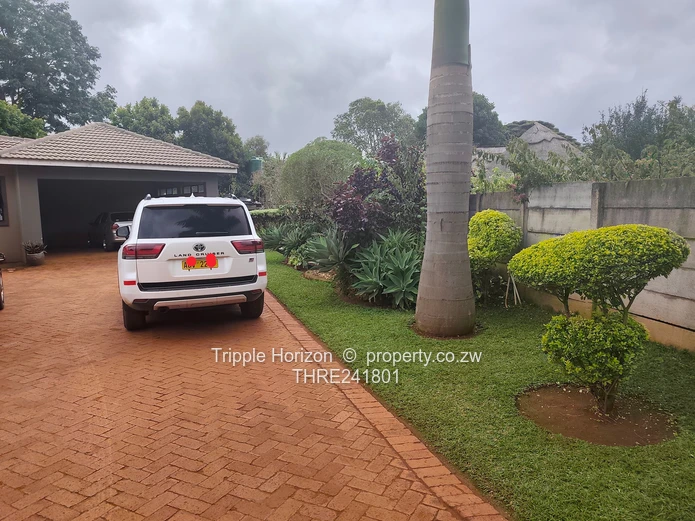 Borrowdale- Sam Levy (Sole Mandate)