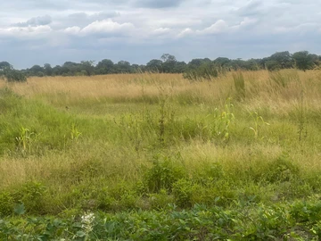 Farm & Agricultural Land