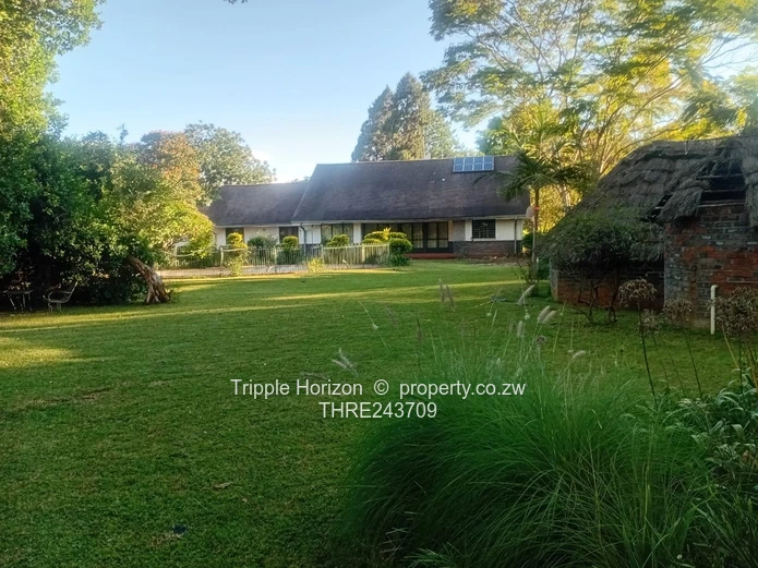 Excellent Location! Samy Levy Village!