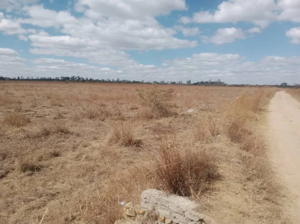 Farm & Agricultural Land