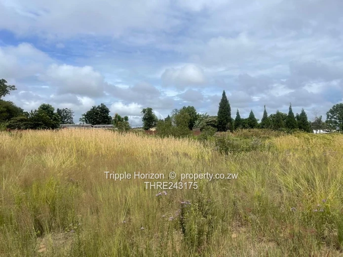 Stands Galore!! Investment Opportunity 