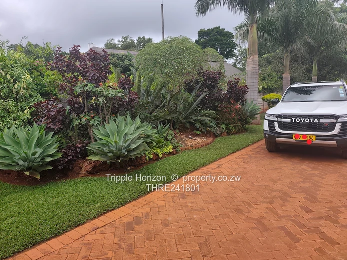 Borrowdale- Sam Levy (Sole Mandate)