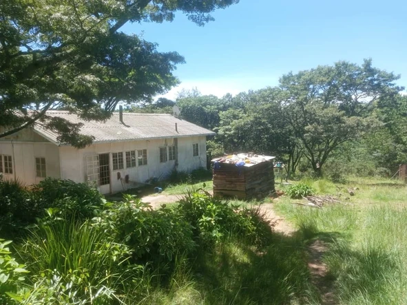 Farm & Agricultural Land