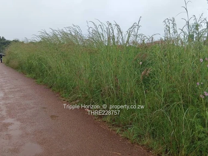 Investment opportunity 