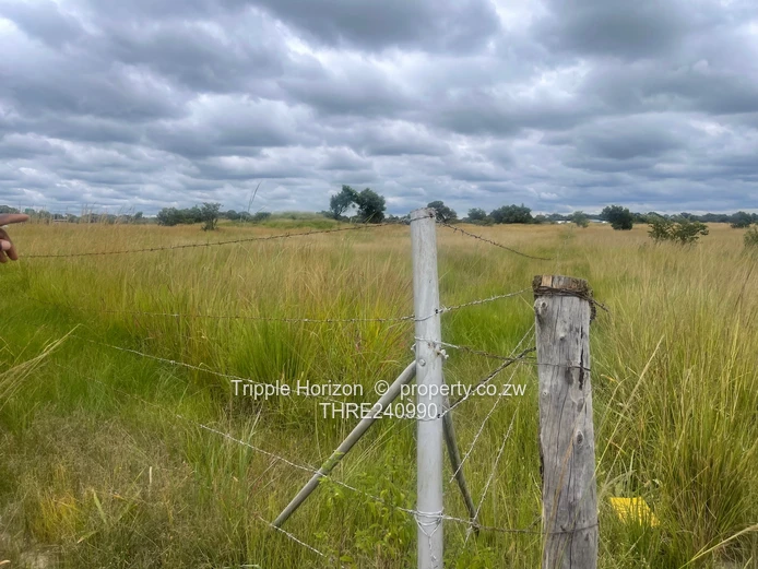 18,000m² Norton Farm — Orchard, Grazing & Main Access