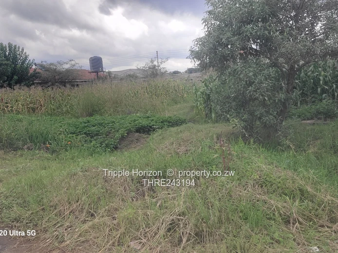 Great investment opportunity 