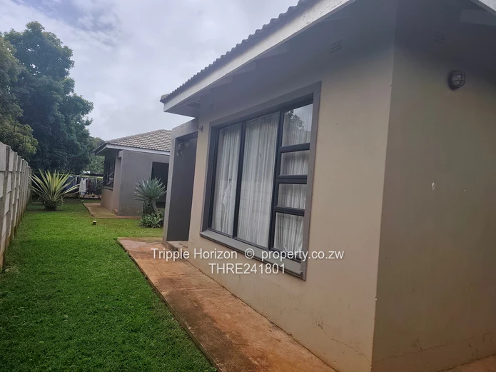 Borrowdale- Sam Levy (Sole Mandate)