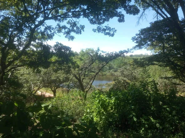 Farm & Agricultural Land