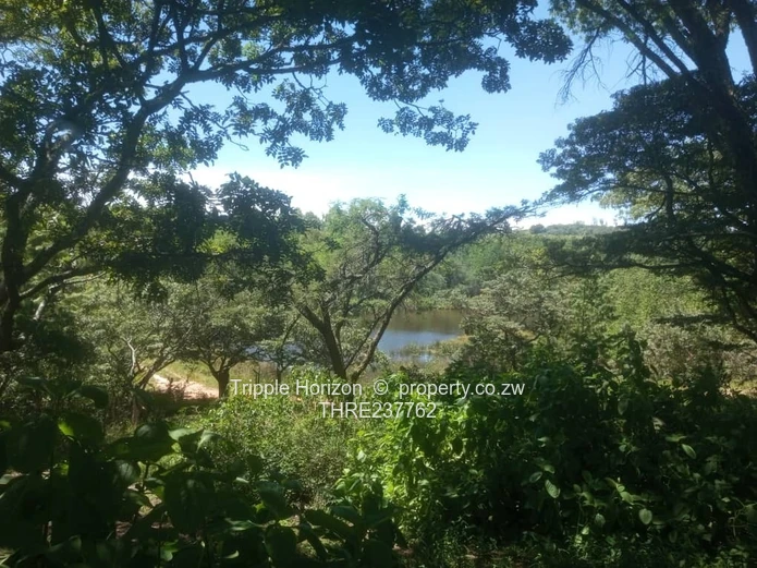 Farm for sale in Nyanga