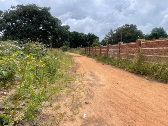 Stands & Residential Land