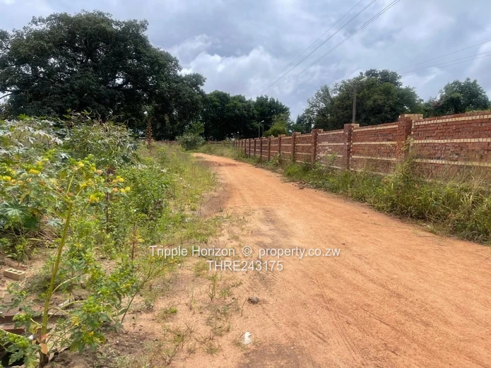 Stands Galore!! Investment Opportunity 