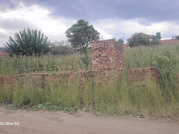 Stands & Residential Land