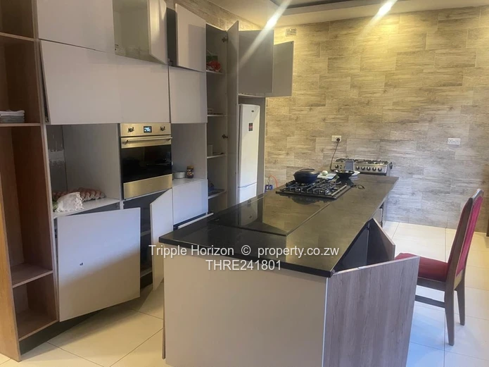 Borrowdale- Sam Levy (Sole Mandate)