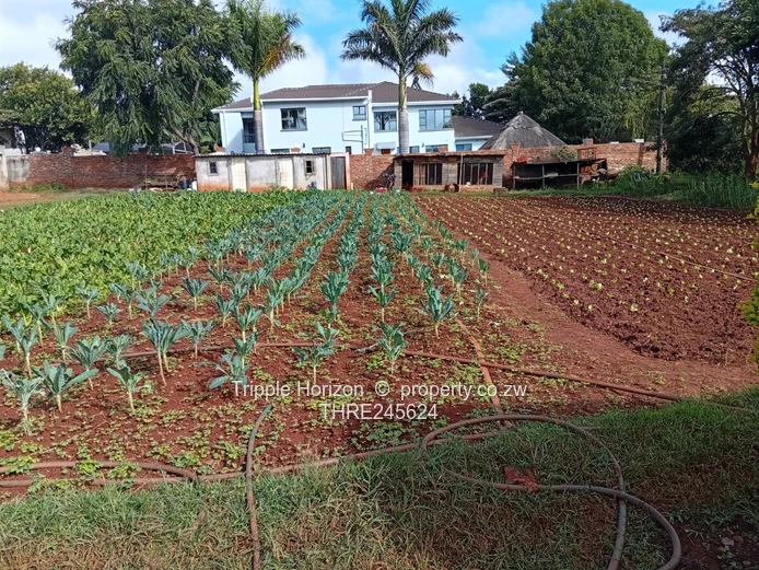 Gletwin shawasha 3 bedroom cottage for sale 