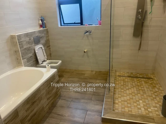 Borrowdale- Sam Levy (Sole Mandate)