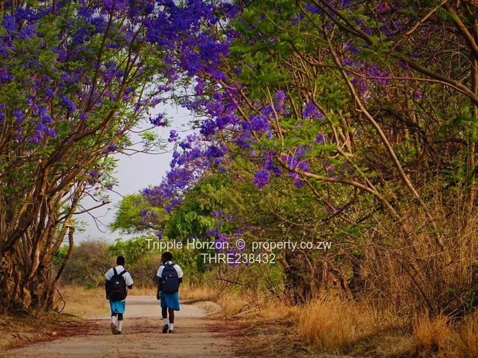 350ha Marondera Farm - Machinery, Orchard & Reservoir