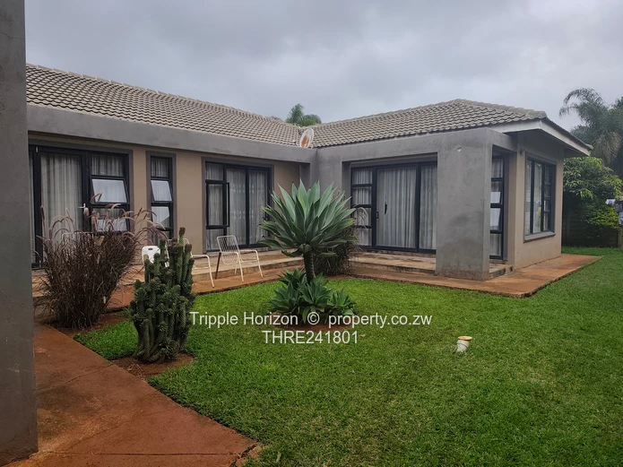 Borrowdale- Sam Levy (Sole Mandate)