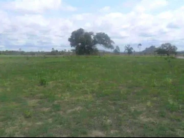 Commercial Property