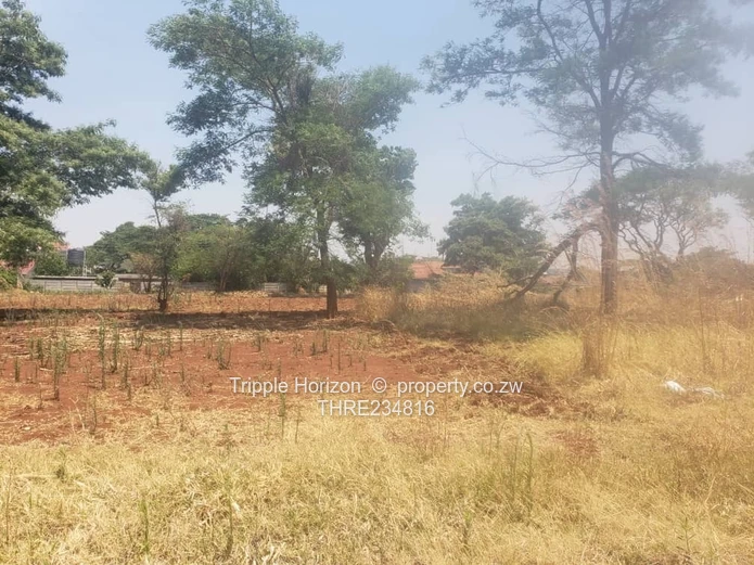 Area of Top Quality Development 