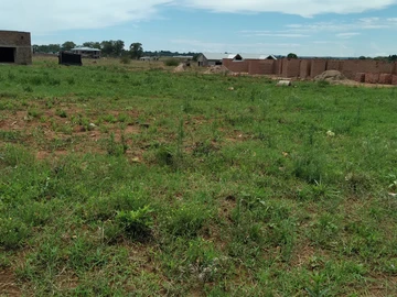 Stands & Residential Land