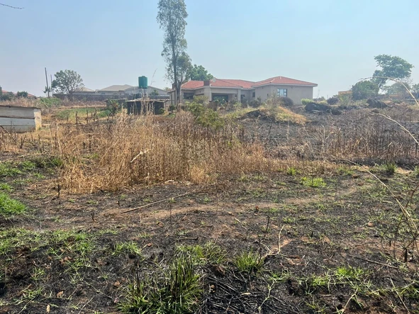 Stands & Residential Land