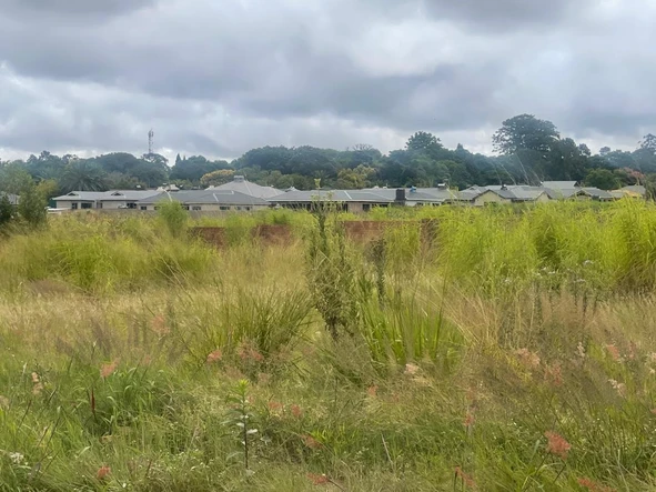 Stands & Residential Land