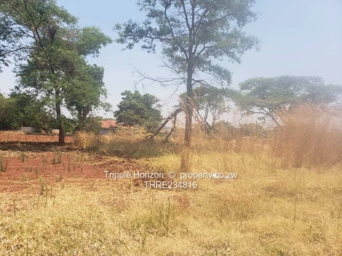 Area of Top Quality Development 