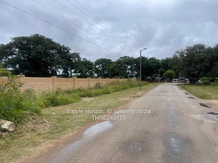 Stands Galore!! Investment Opportunity 