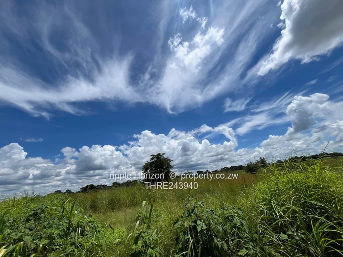 Mary Park Norton stands 