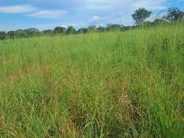 Land