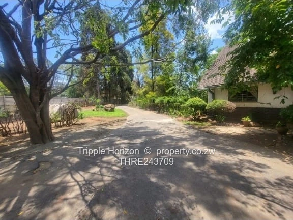 Excellent Location! Samy Levy Village!