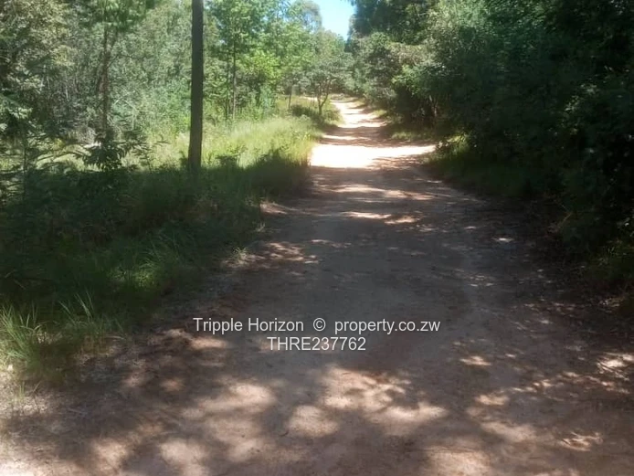 Farm for sale in Nyanga