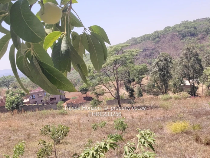 Enormous Investment Opportunity 