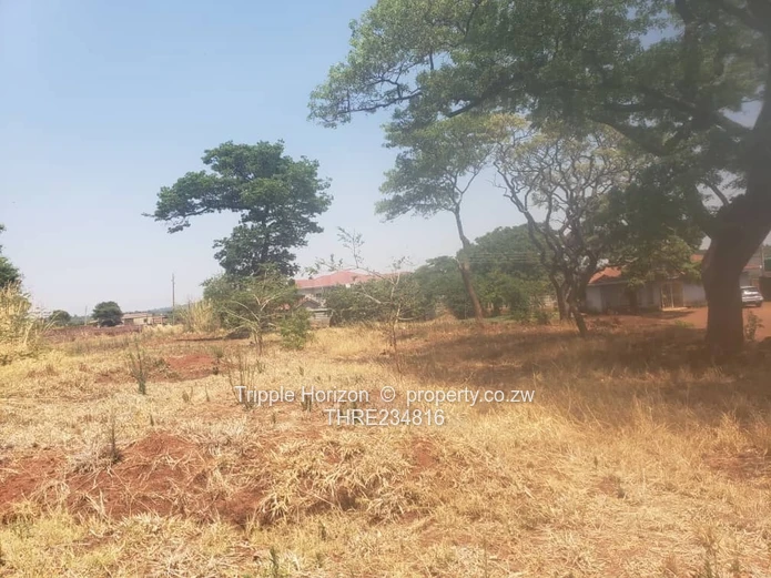 Area of Top Quality Development 