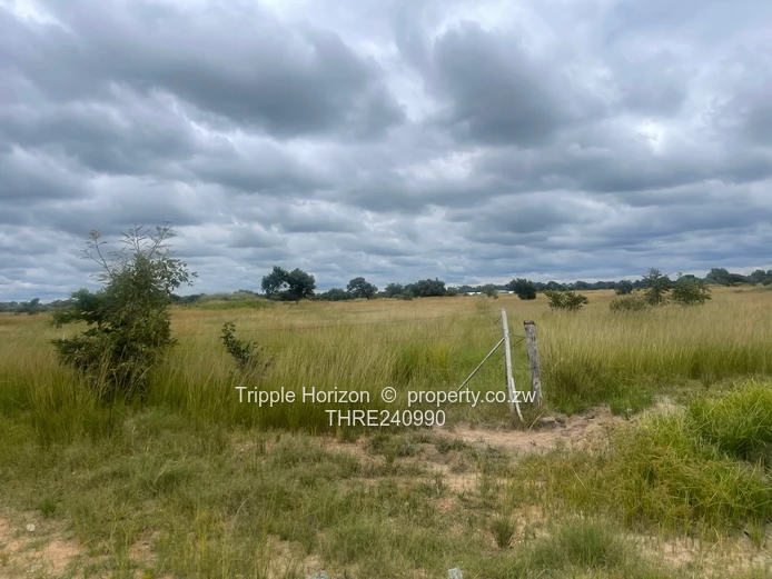 18,000m² Norton Farm — Orchard, Grazing & Main Access