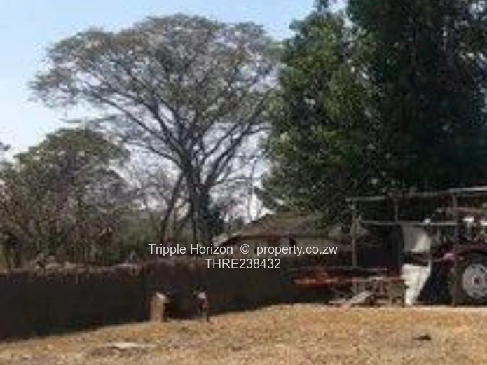 350ha Marondera Farm - Machinery, Orchard & Reservoir