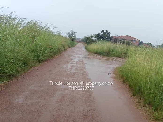 Investment opportunity 