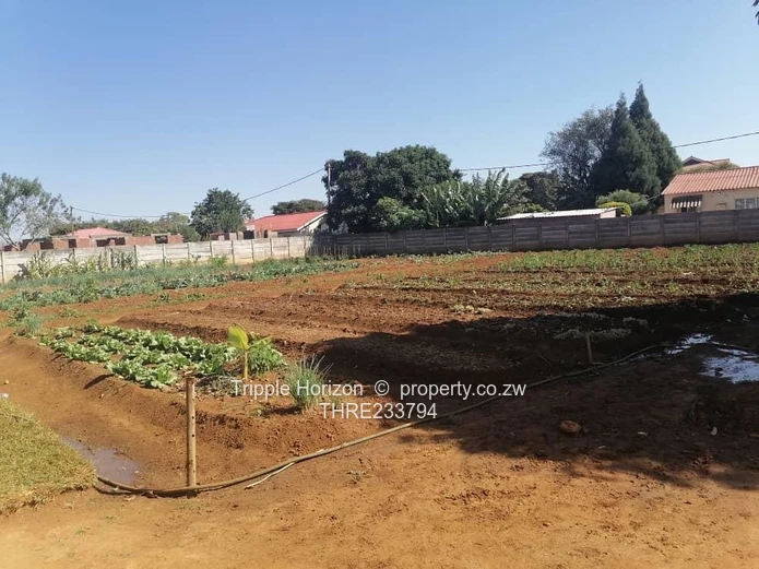 Norton: 4-Bed Home, Spacious Garden & Borehole on 2600m²