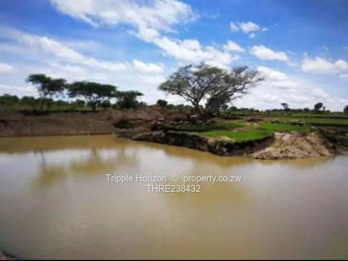 350ha Marondera Farm - Machinery, Orchard & Reservoir