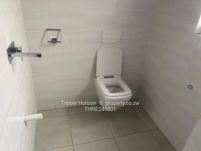 Borrowdale- Sam Levy (Sole Mandate)