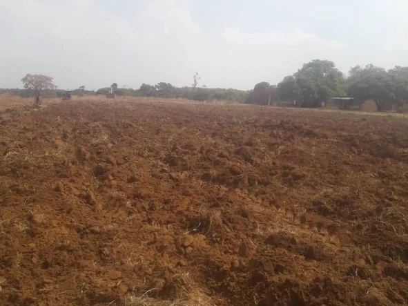 Farm & Agricultural Land