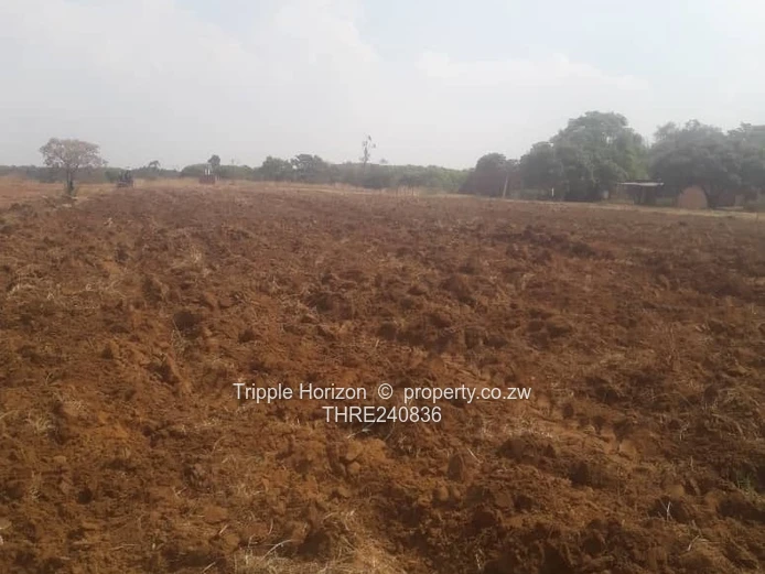 70ha Marondera Farm - Arable Fields, Brick Outbuildings & Shed