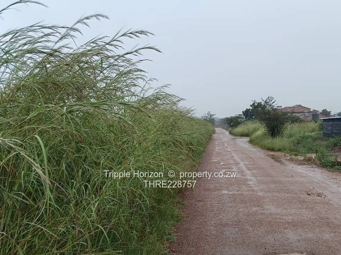 Investment opportunity 