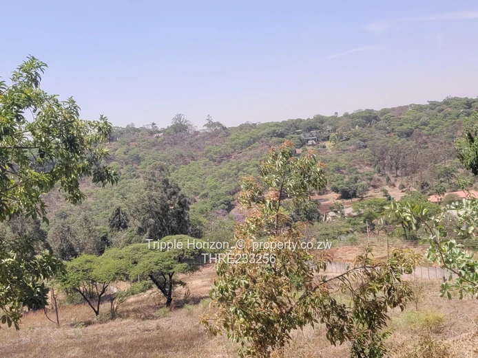 Enormous Investment Opportunity 