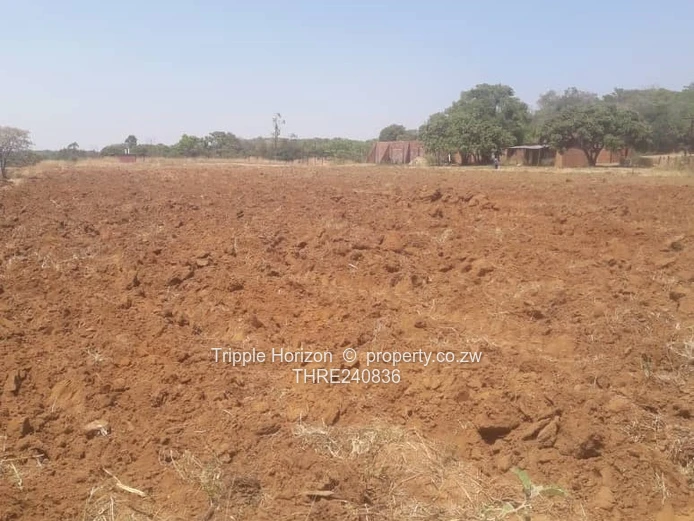 70ha Marondera Farm - Arable Fields, Brick Outbuildings & Shed