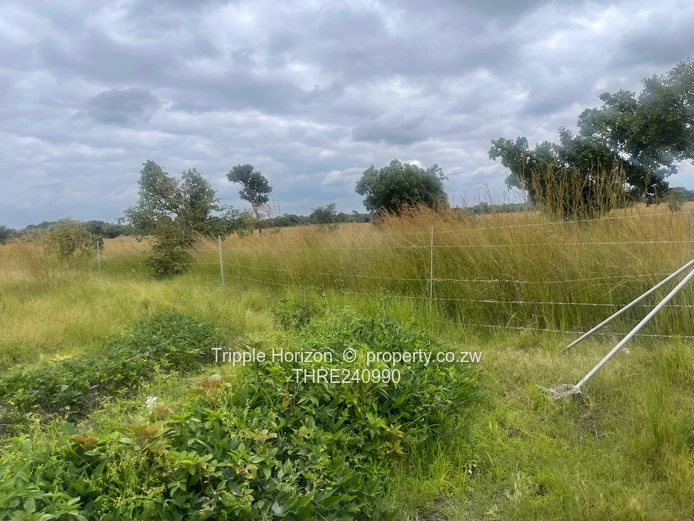 18,000m² Norton Farm — Orchard, Grazing & Main Access